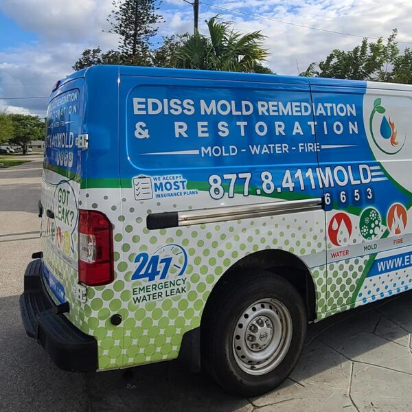 Ediss Mold Remediation