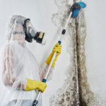 Dangers Of Black Mold And Mold Remediation