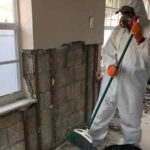 Remedy Mold Damage With Expert Mold Removal