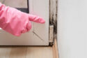 Signs That You Need Immediate Mold Inspection By Experts