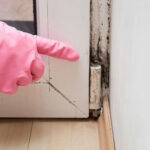 Signs That You Need Immediate Mold Inspection By Experts